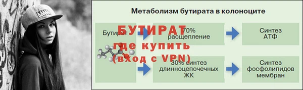 стаф Горняк